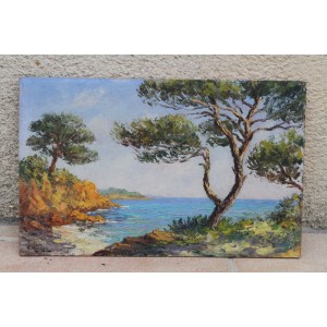 /47-87-thickbox/paysage-de-bord-de-mer-esterel.jpg